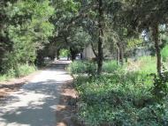 Тарасівка з panoramio.com