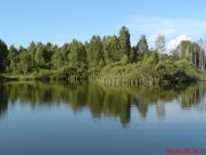 Шевченкове з panoramio.com
