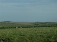 Рокитне з panoramio.com