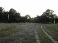 Люлинці з panoramio.com