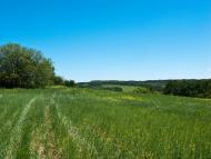 Великий Букрин з panoramio.com