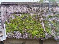 Помазани з panoramio.com