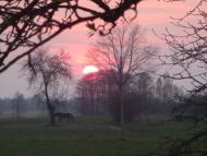 Мелені з panoramio.com