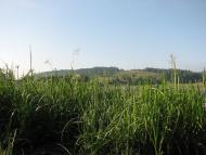 Мала Мощаниця - Останні фото