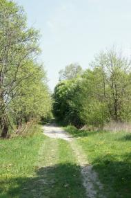 Звози з panoramio.com