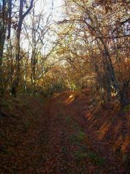 Високе з panoramio.com