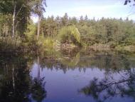 Оплітна з panoramio.com