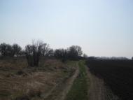 Підок з panoramio.com