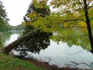 Васьківці з panoramio.com