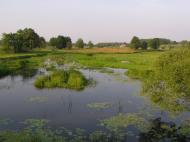 Ушомир з panoramio.com