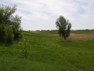 Пінчуки з panoramio.com