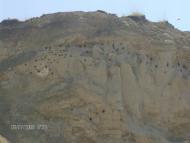 Рокитне з panoramio.com