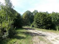 Жерденівка з panoramio.com