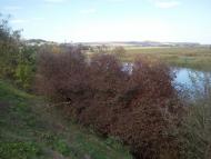 Дворічне - Останні фото