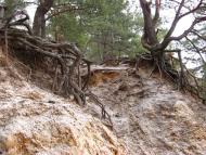 Широке з panoramio.com