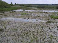 Виликий Обзир з panoramio.com