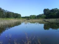 Чоп з panoramio.com