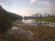 Чупринівка з panoramio.com