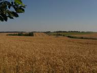 Жерденівка з panoramio.com