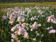 Повча з panoramio.com