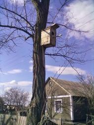 Тамарино - Последние фото