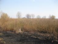 Підок з panoramio.com