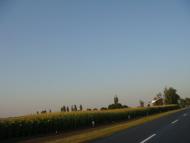 Радченки з panoramio.com