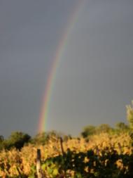 Домантове з panoramio.com