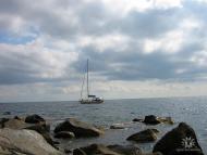 Підгородне з panoramio.com