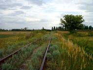 Вільна Тарасівка з panoramio.com - Vilna Tarasivka