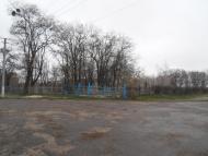 Черемушна з panoramio.com