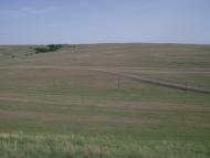 Черемшине з panoramio.com