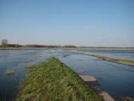 Озаричі з panoramio.com