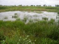 Біляївка з panoramio.com