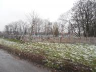 Черемушна з panoramio.com