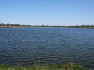 Буряки з panoramio.com