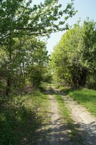 Звози з panoramio.com