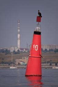 Григорівка з panoramio.com