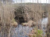 Руденька з panoramio.com