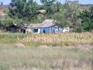 Помазани - Останні фото