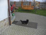 Дядьковичі з panoramio.com