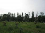 Новосілки з panoramio.com