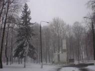 Трішки зими