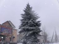 Трішки зими