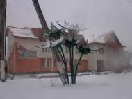 Трішки зими