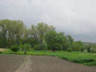 А у нас весна