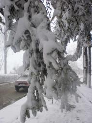 Трішки зими