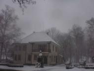 Трішки зими