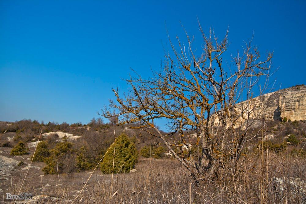 Передущельне з panoramio.com - Передущельне