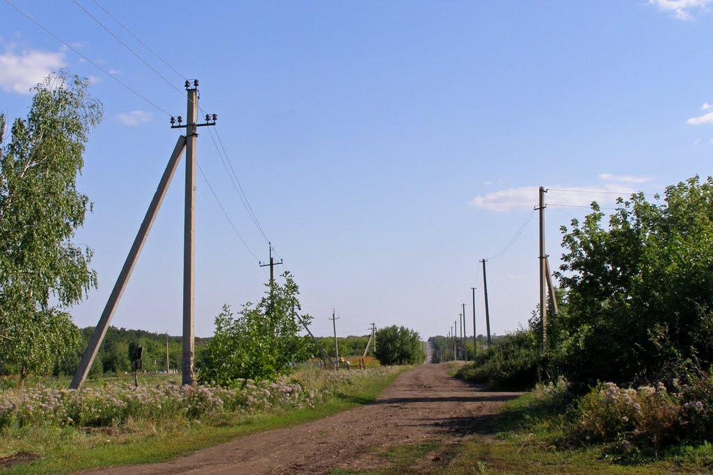 Лісна Поляна з panoramio.com - Лісна Поляна